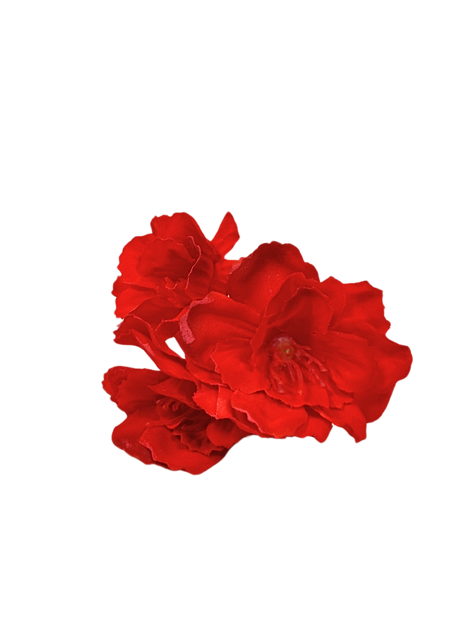 Flor del cerezo de color rojo