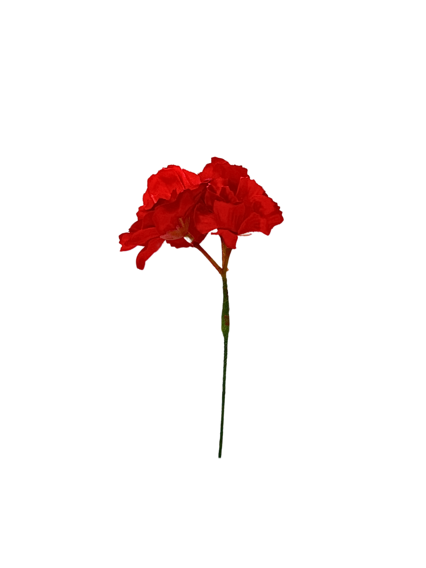 Flor del cerezo rojo