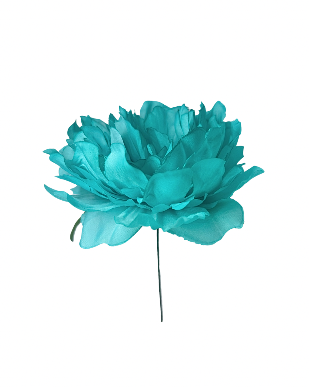 Peonía de Flamenca Agua Marina