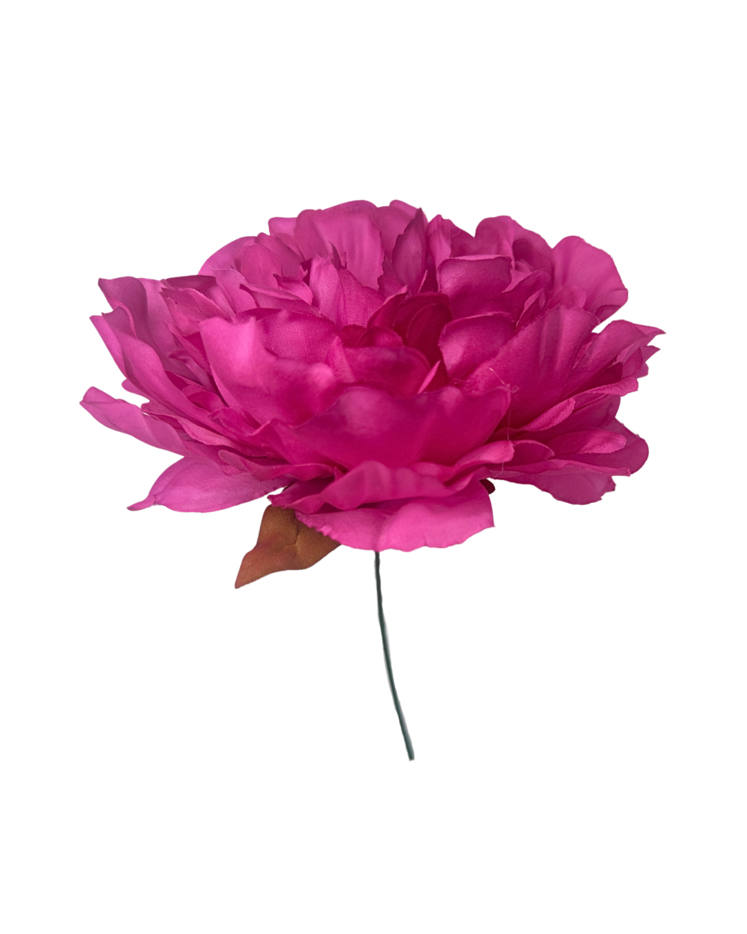 Peonía de Flamenca Buganvilla