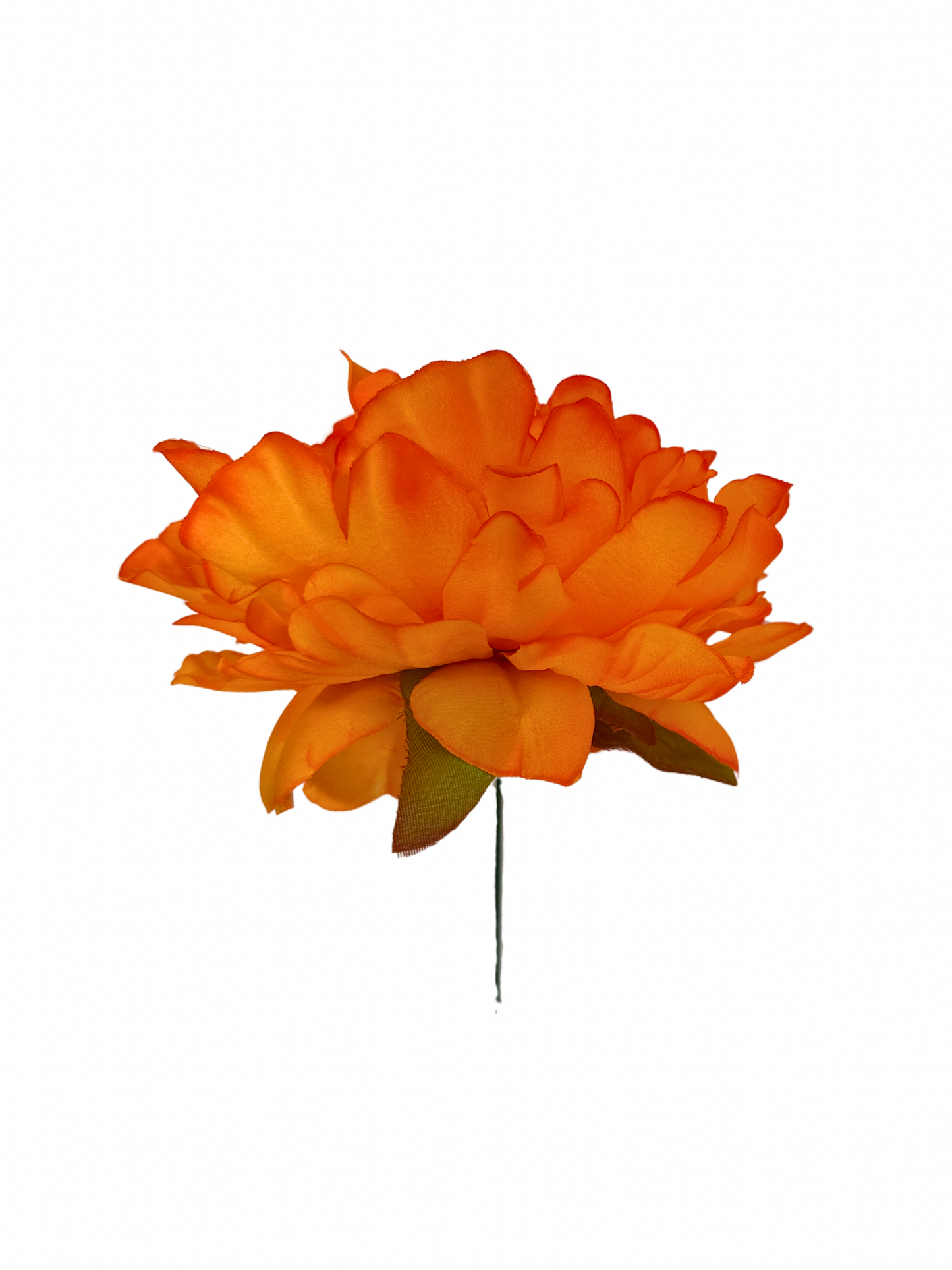 Peonía de Flamenca Mandarina