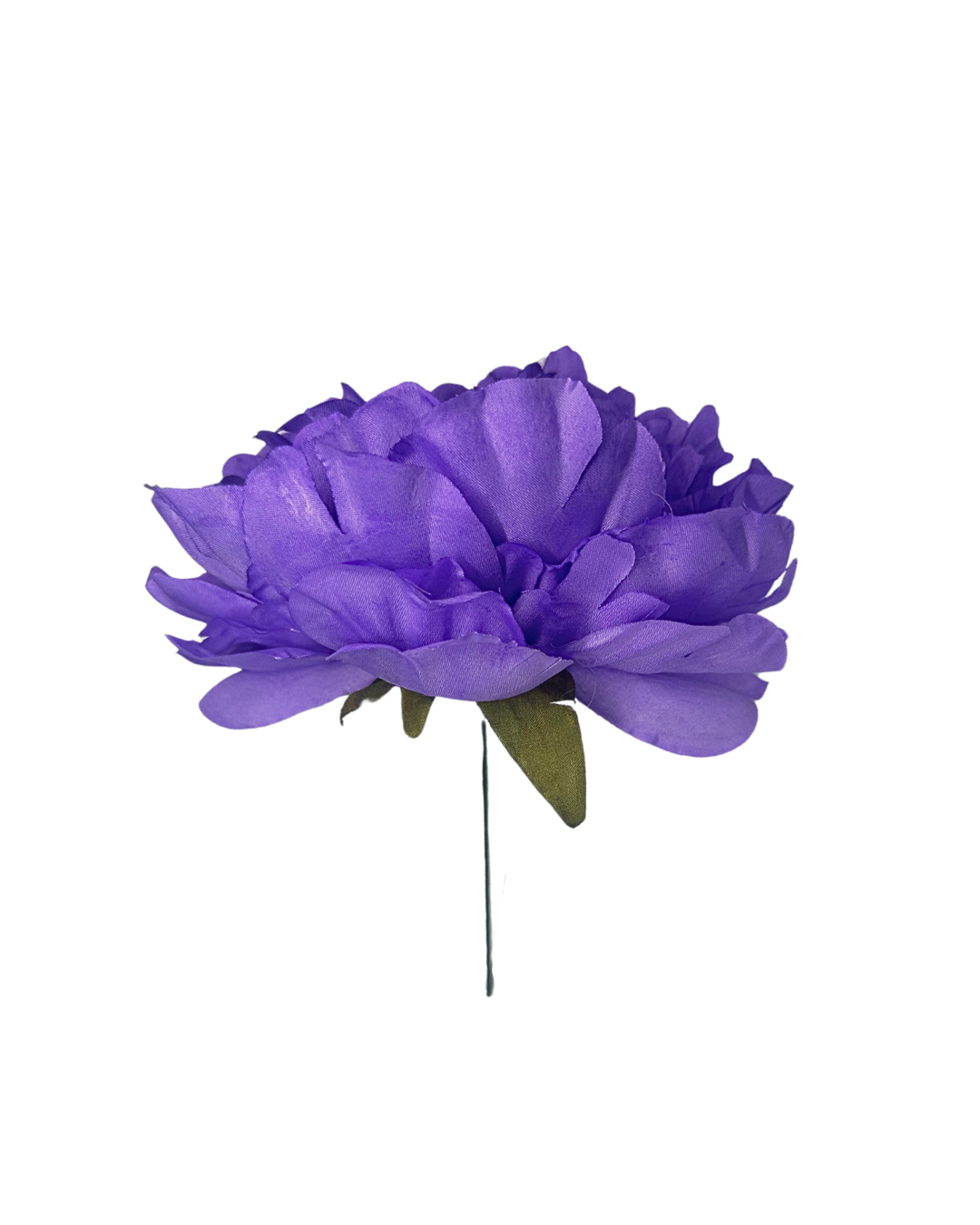 Peonía de Flamenca Morada