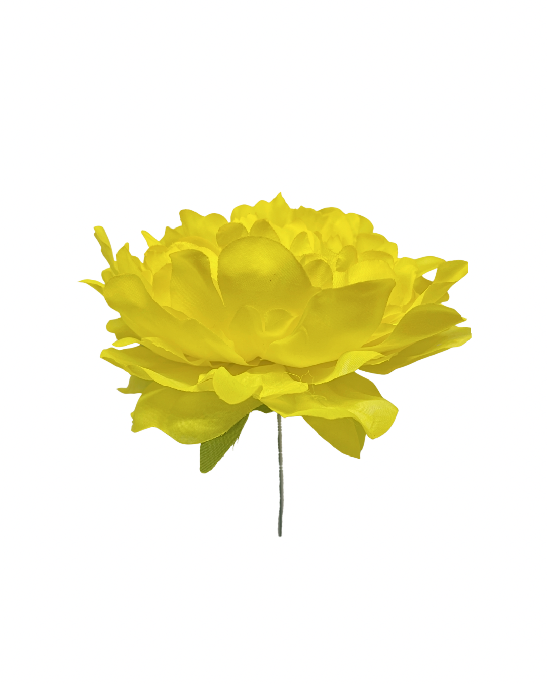 Peonia de flamenca color amarilla detalles