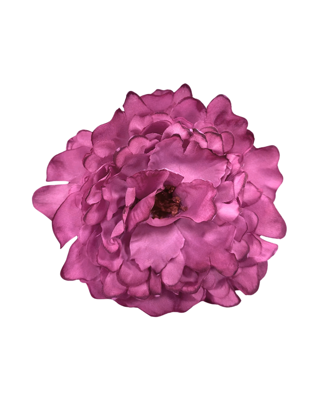 Peonia_de_flamenca_frambuesa