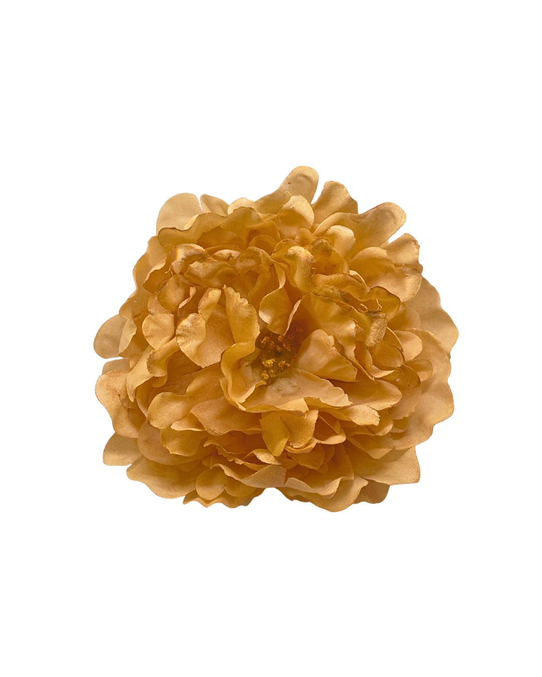 Peonia_de_flamenca_color_mostaza