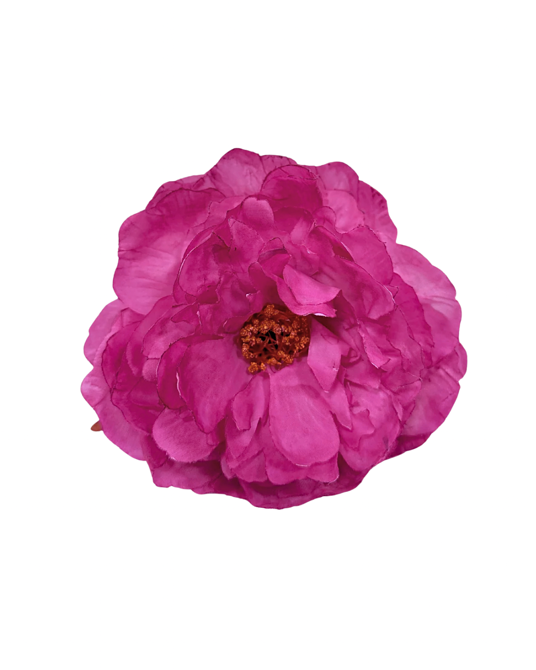 Peonia de flamenca buganvilla