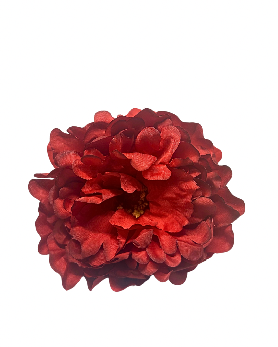 Peonia teñida a mano color burdeos