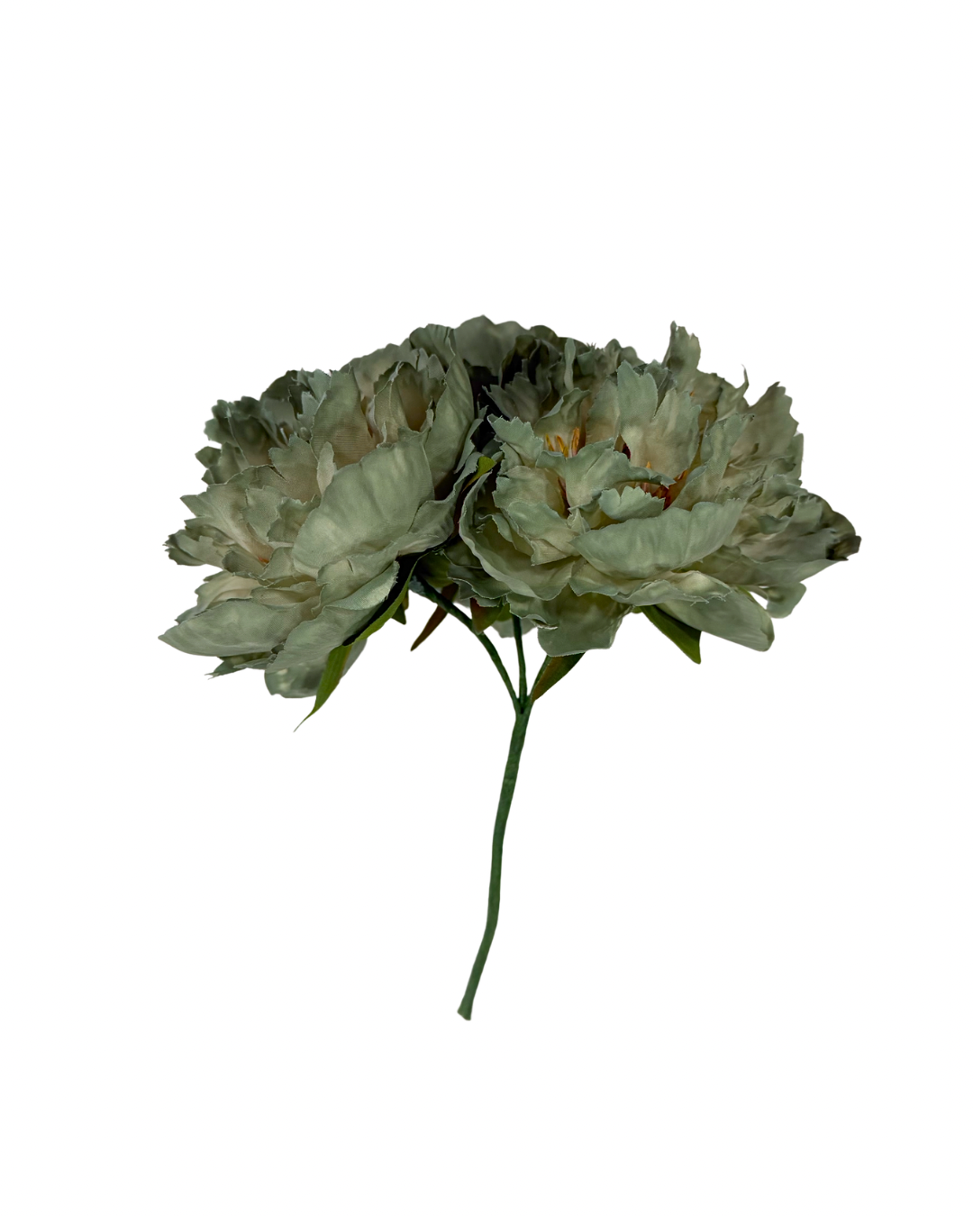 Ramillete de Flamenca Peonías Jabonoso