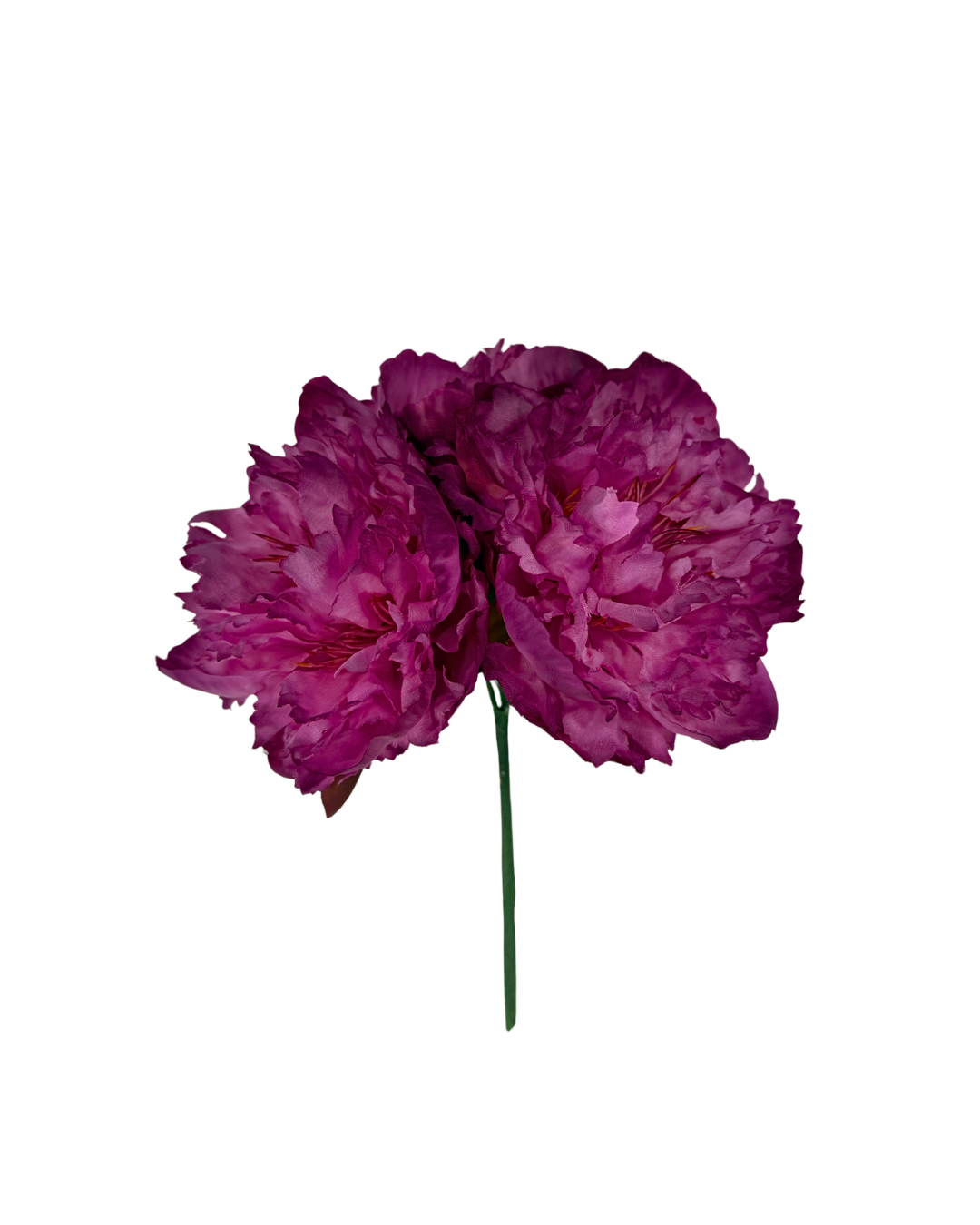 Ramillete de Flamenca de peonías buganvilla