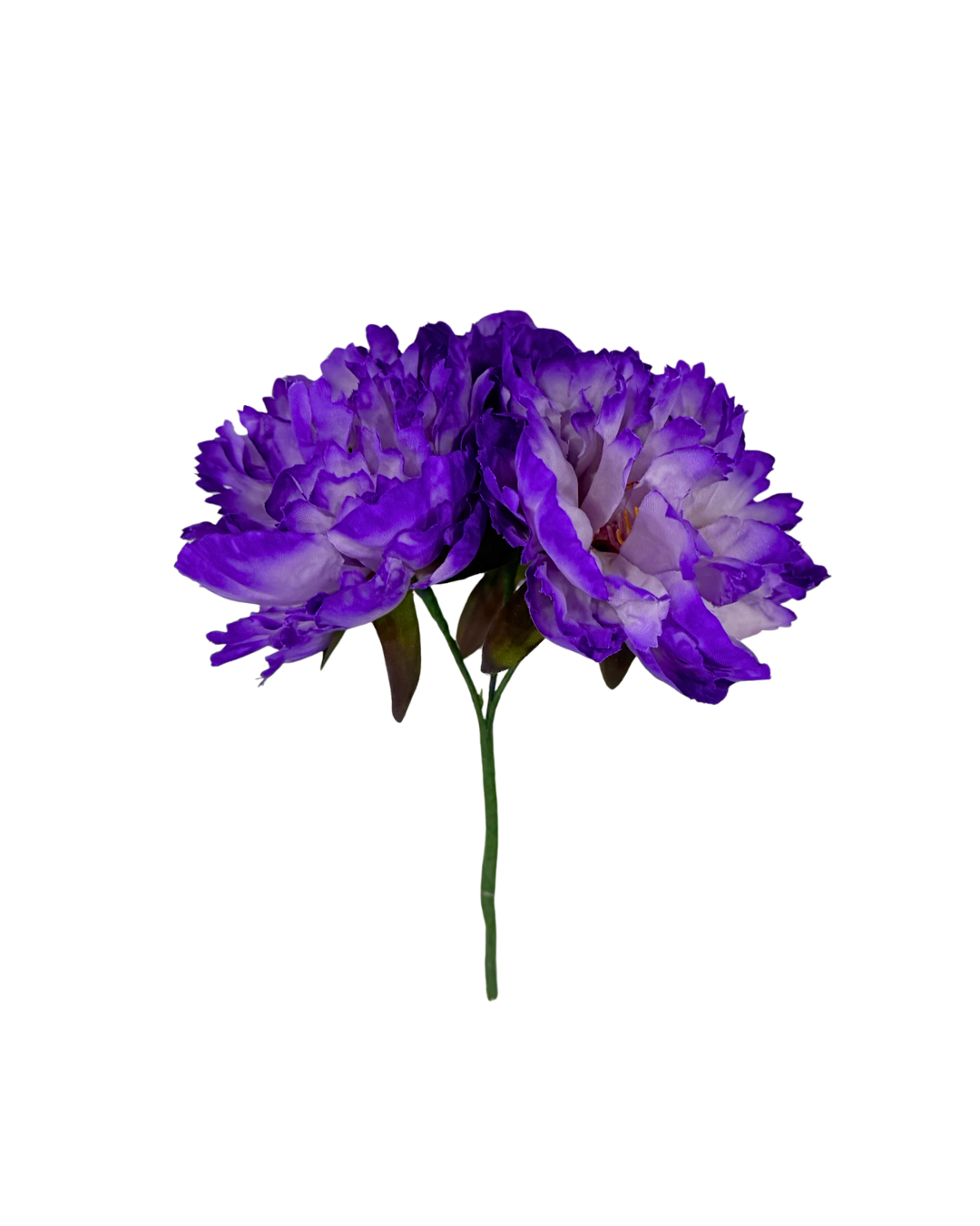 Ramillete de Flamenca de peonías malva