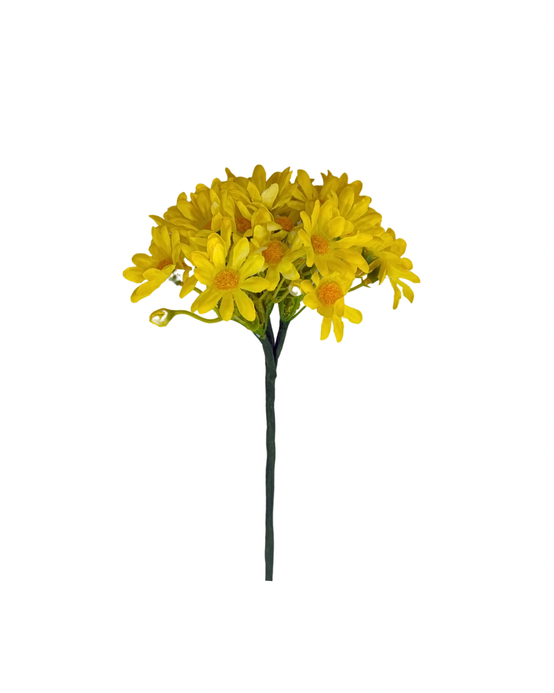 Ramillete de Margaritas Amarillas Flamenca