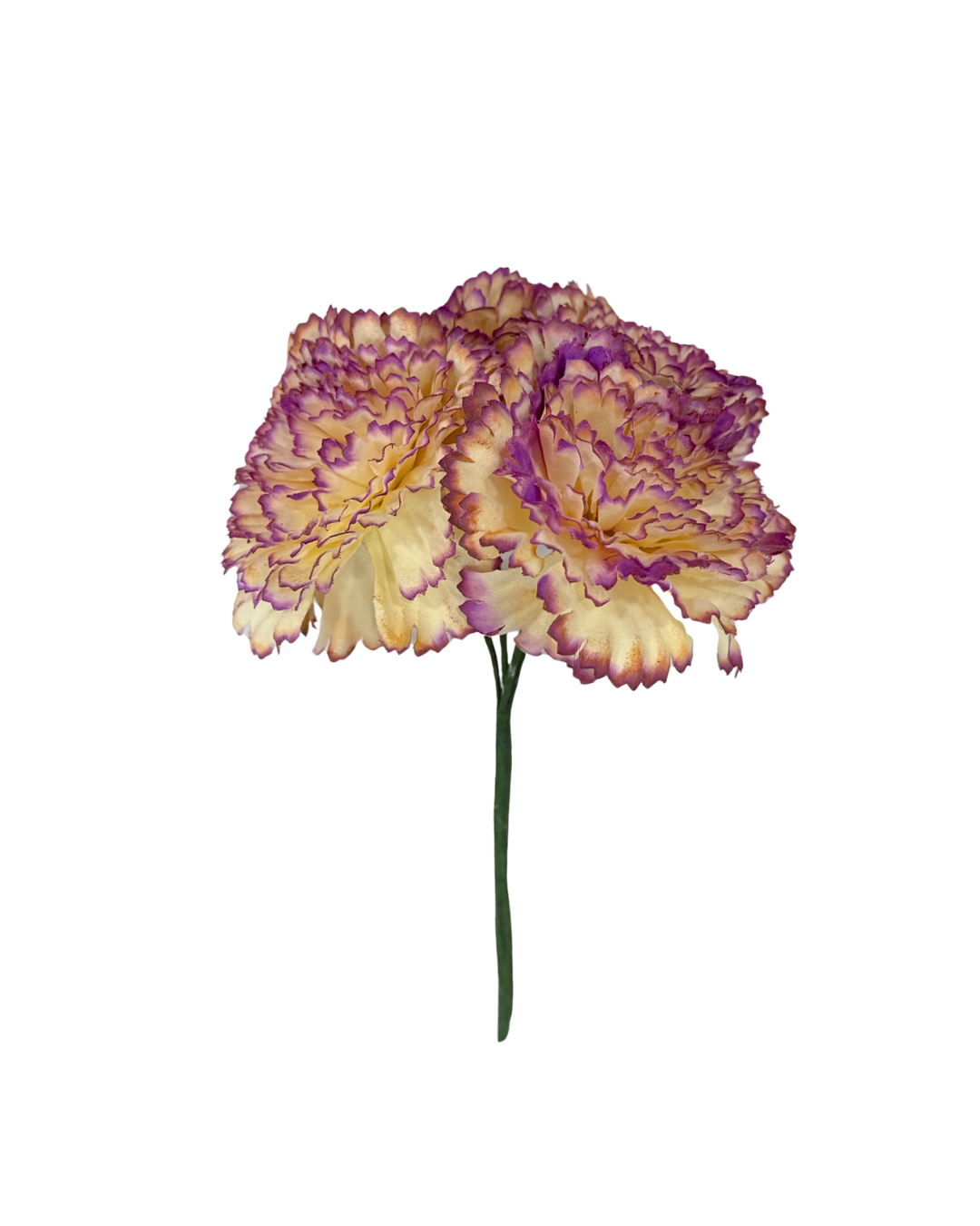 Ramillete de claveles beige y buganvilla