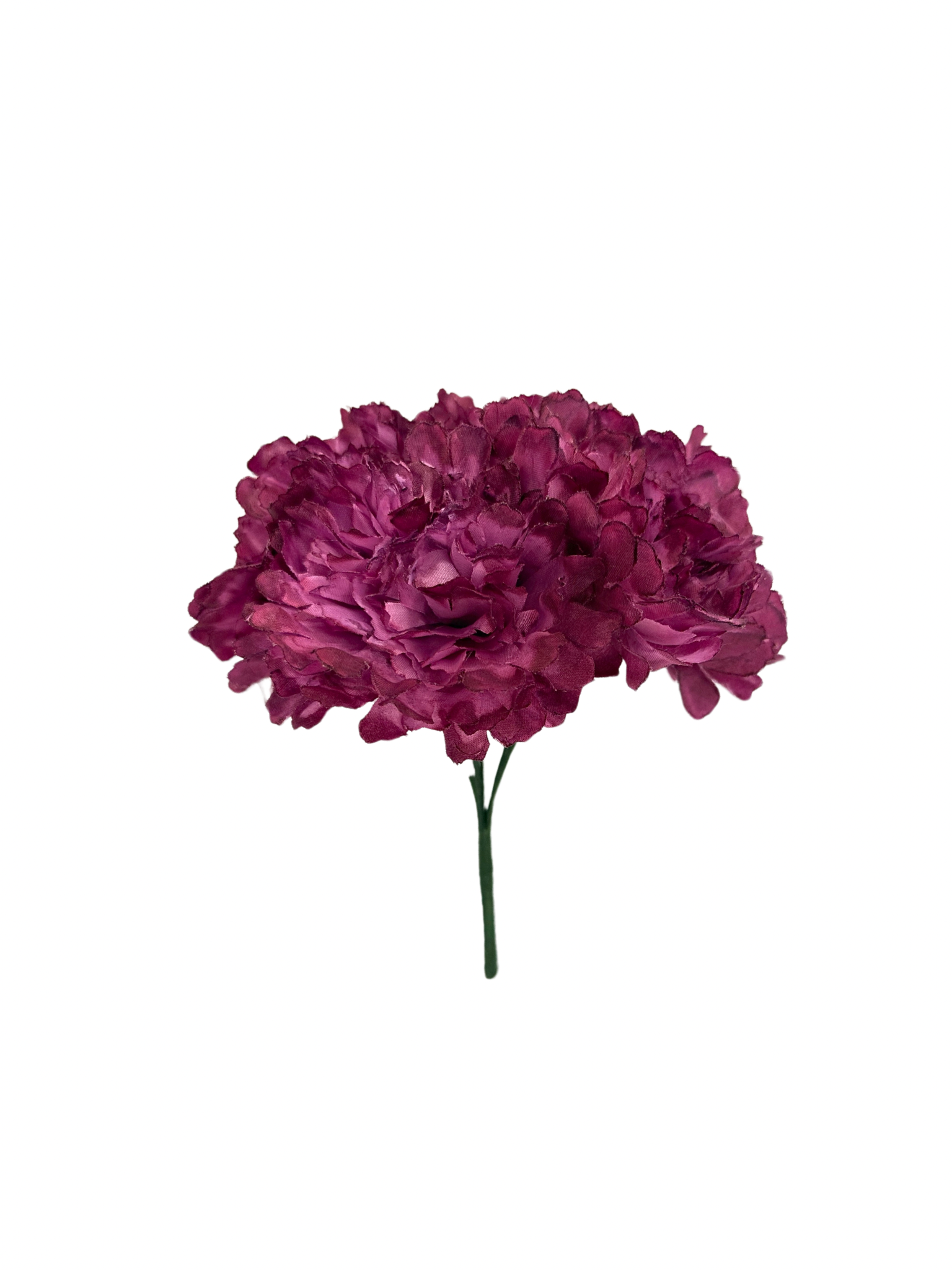 Ramillete de claveles color frambuesa