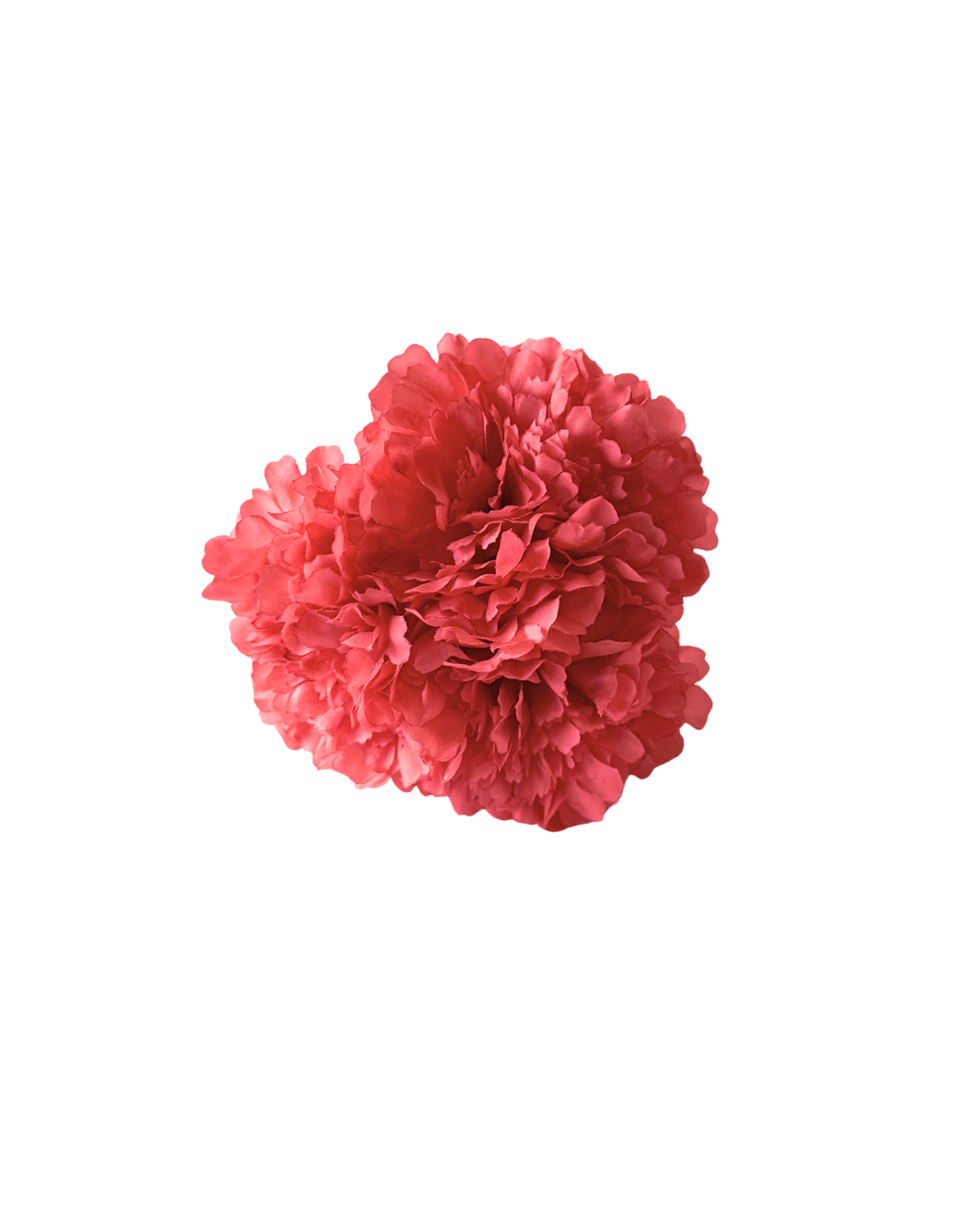 Ramillete de flamenca coral empolvado