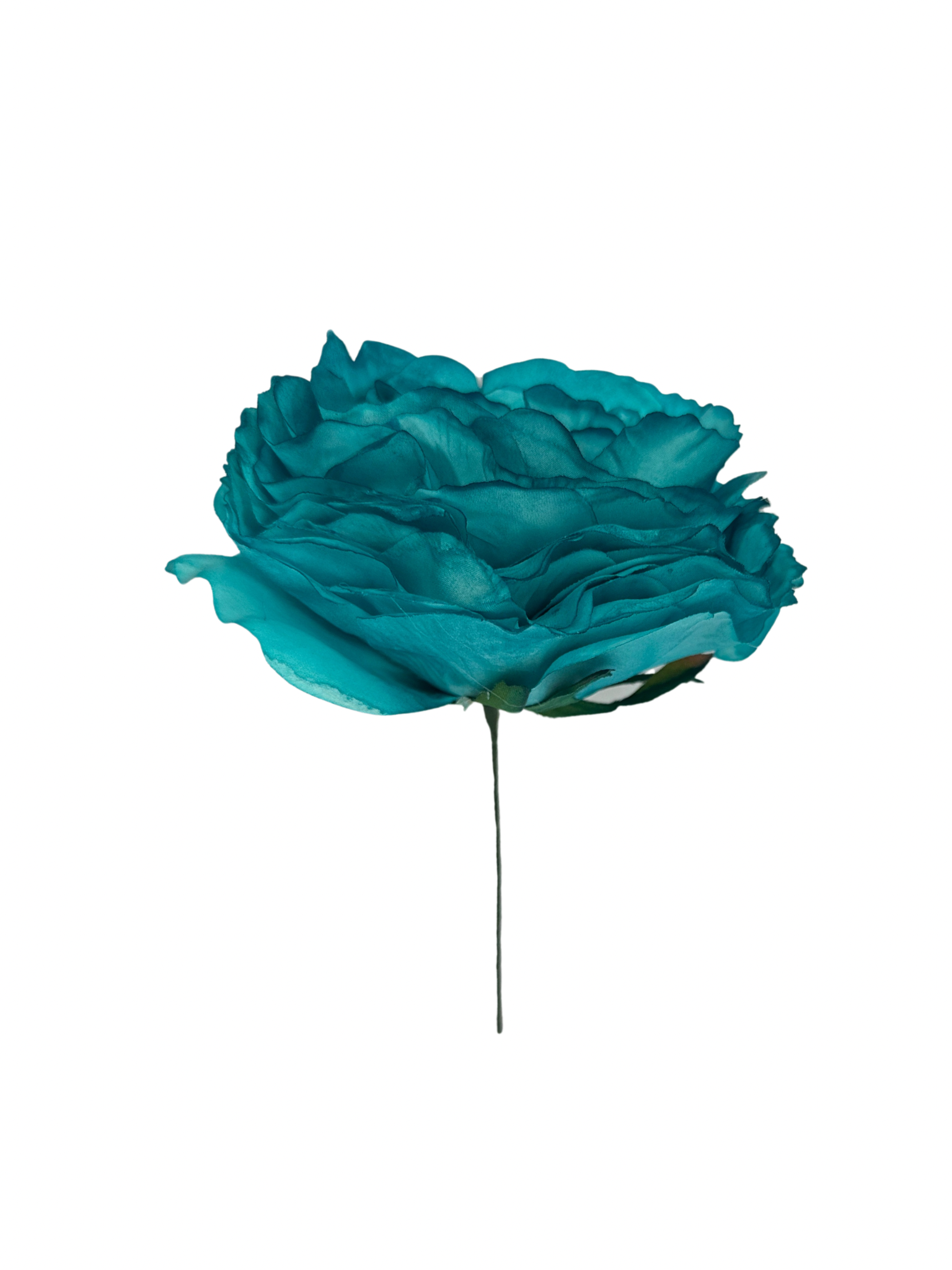 Rosa de Flamenca Agua Marina