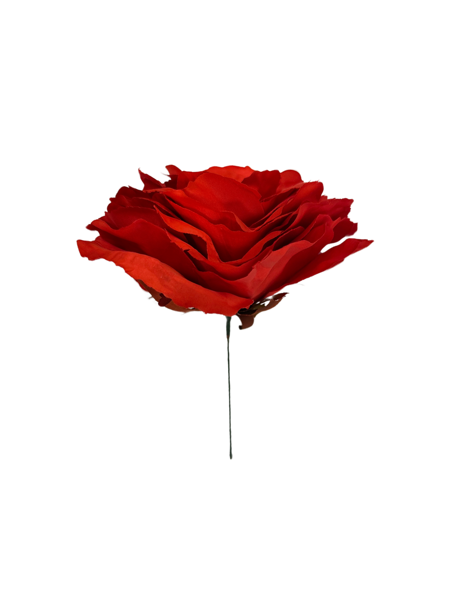 Rosa de Flamenca Roja