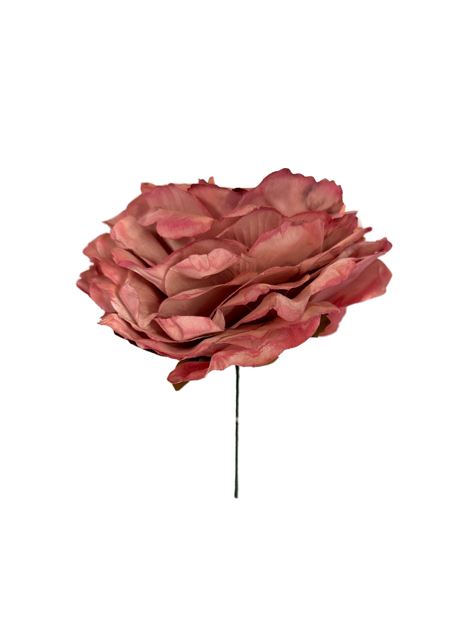 Rosa de Flamenca Rosa Palo