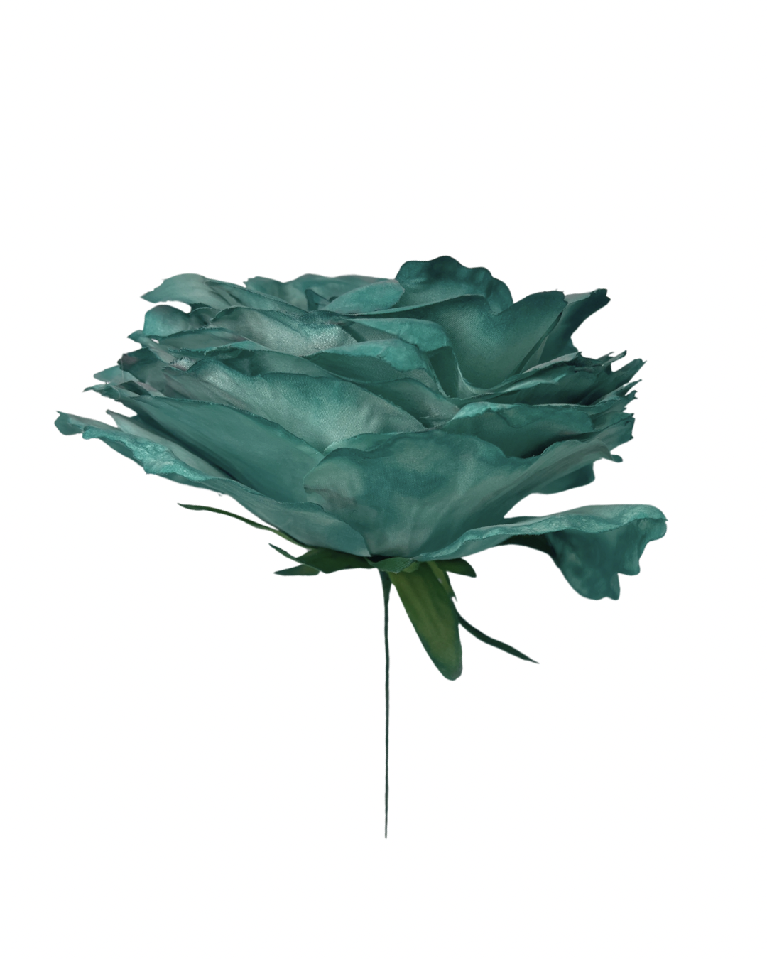 Rosa de Flamenca Verde Agua