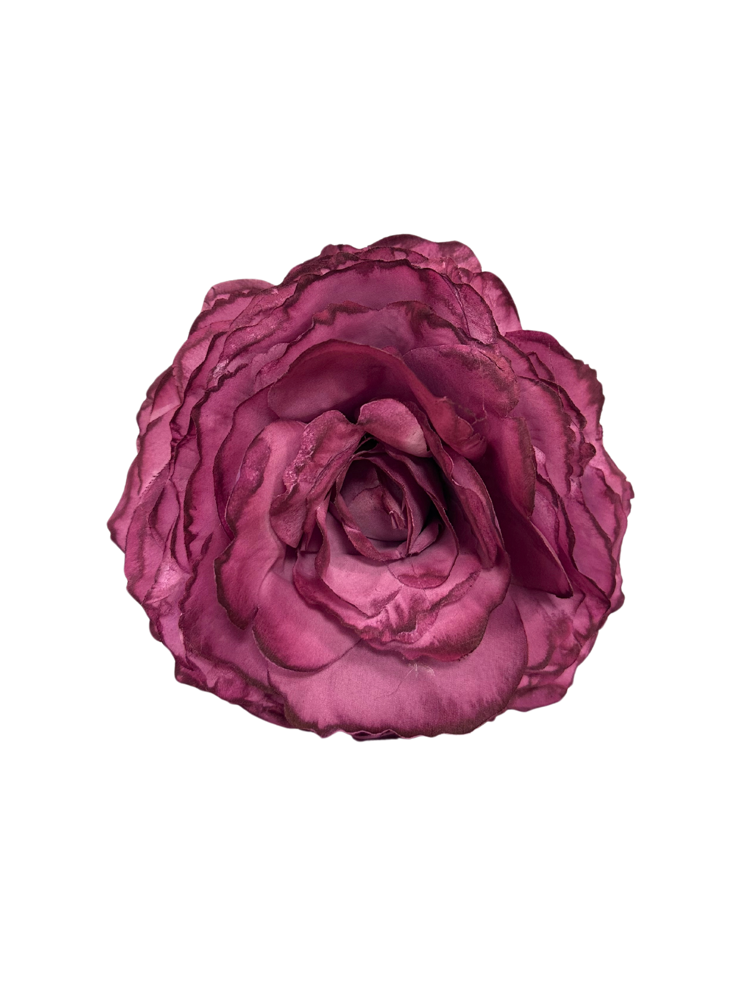 Rosa teñida a mano color frambuesa