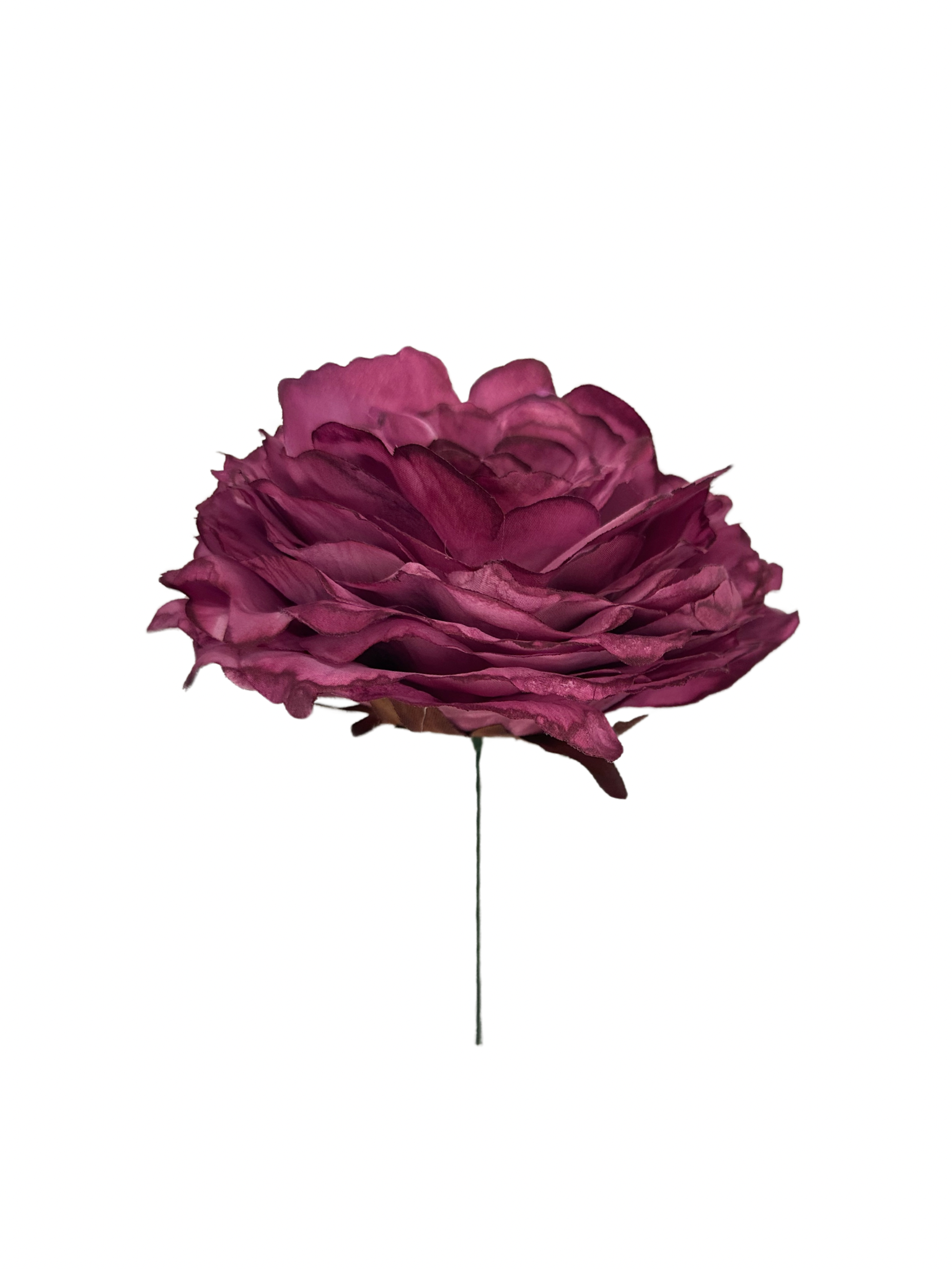 Rosa teñida a mano frambuesa