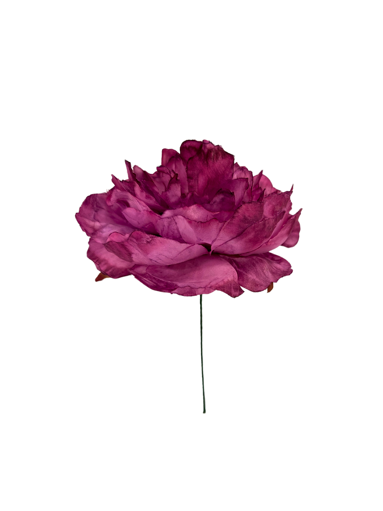 Peonía de Flamenca Niña Teñida a Mano Frambuesa