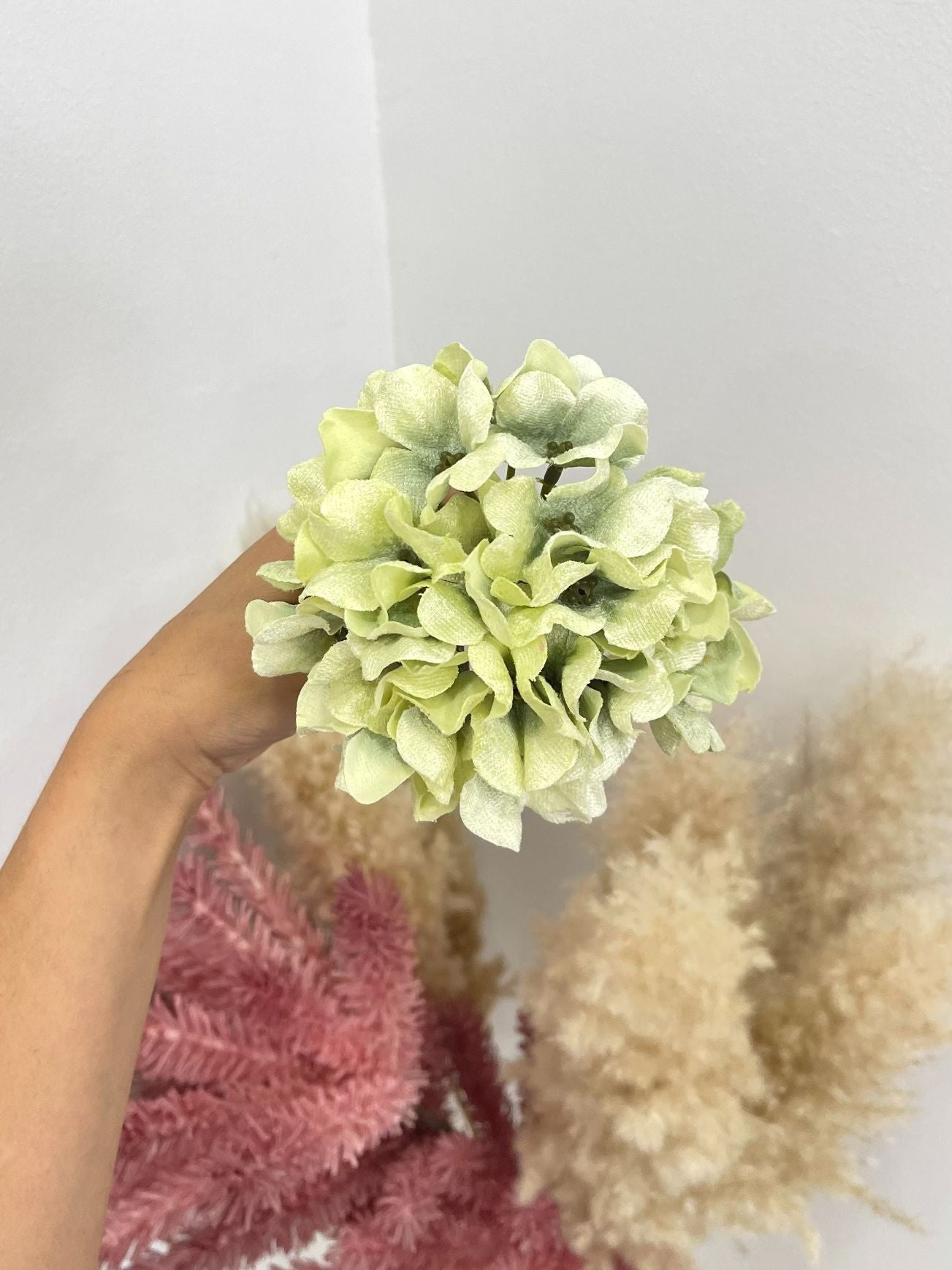 Hortensias Flamenca