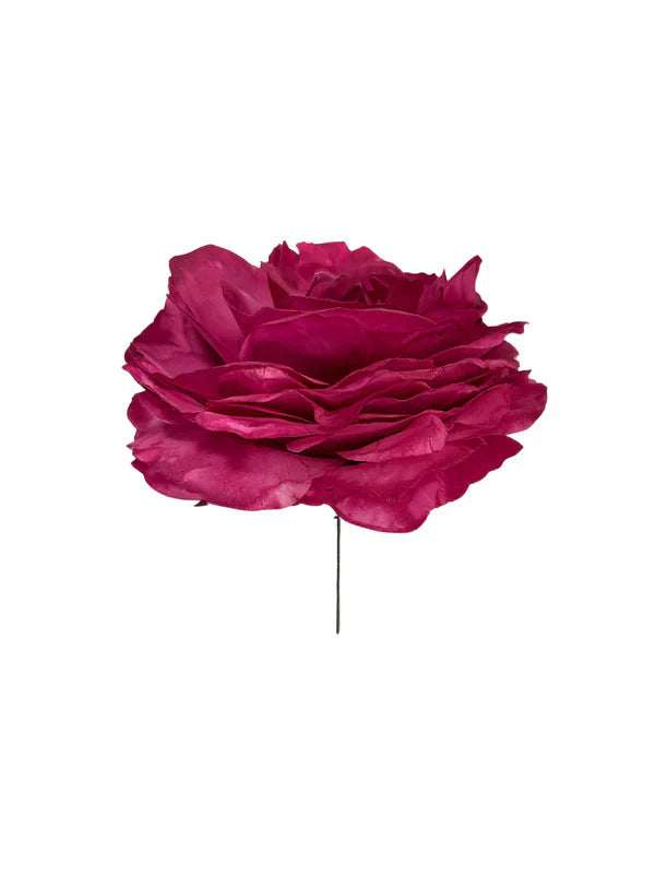rosas flamenca