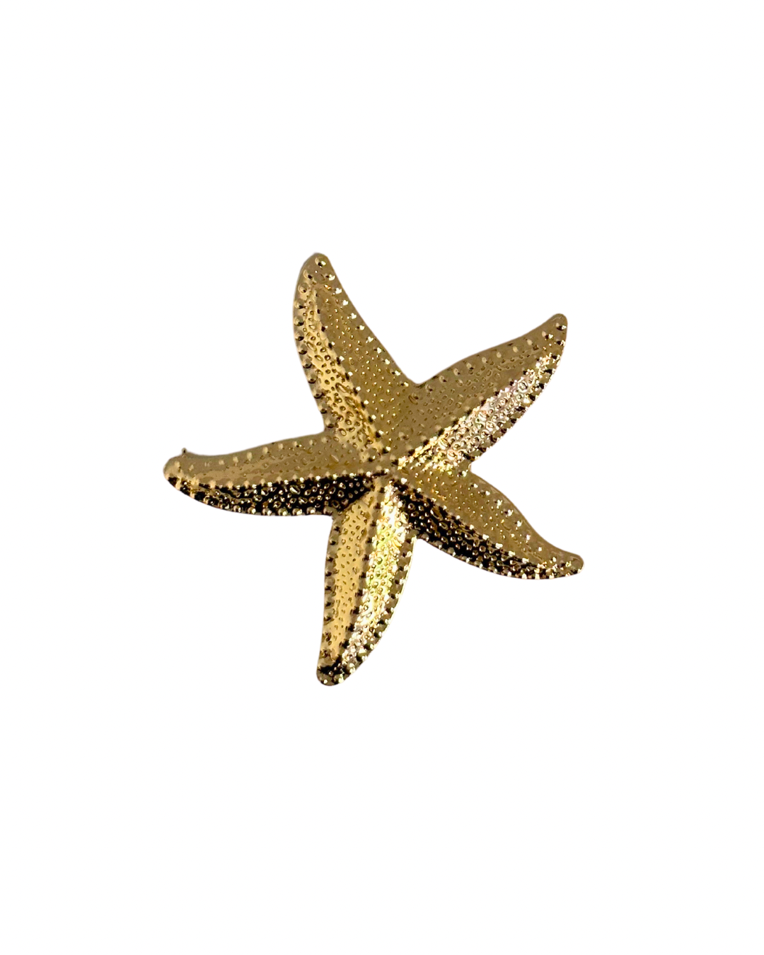 Broche estrella de mar de flamenca