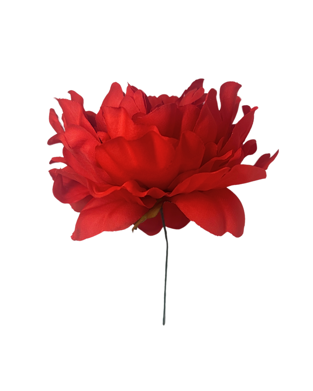 Peonía de Flamenca  Roja