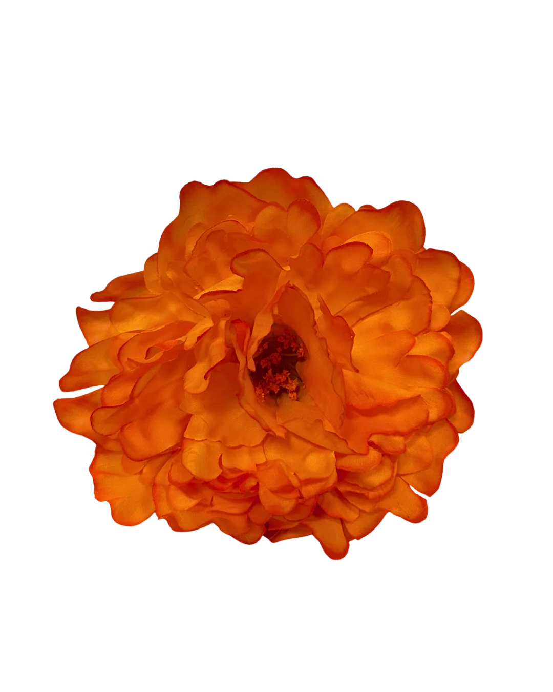 Peonia_de_flamenca_naranja