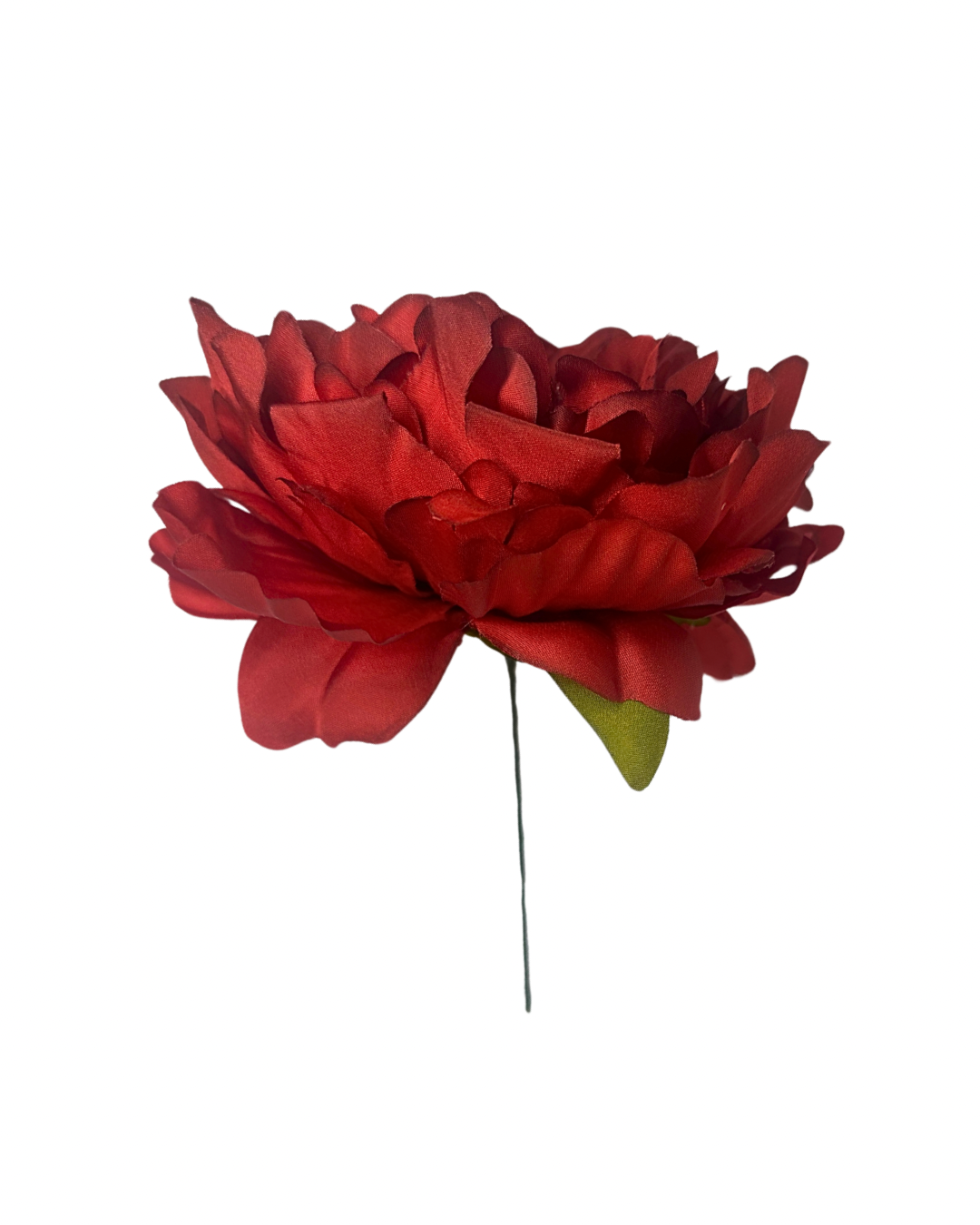 Peonia teñida a mano color burdeos