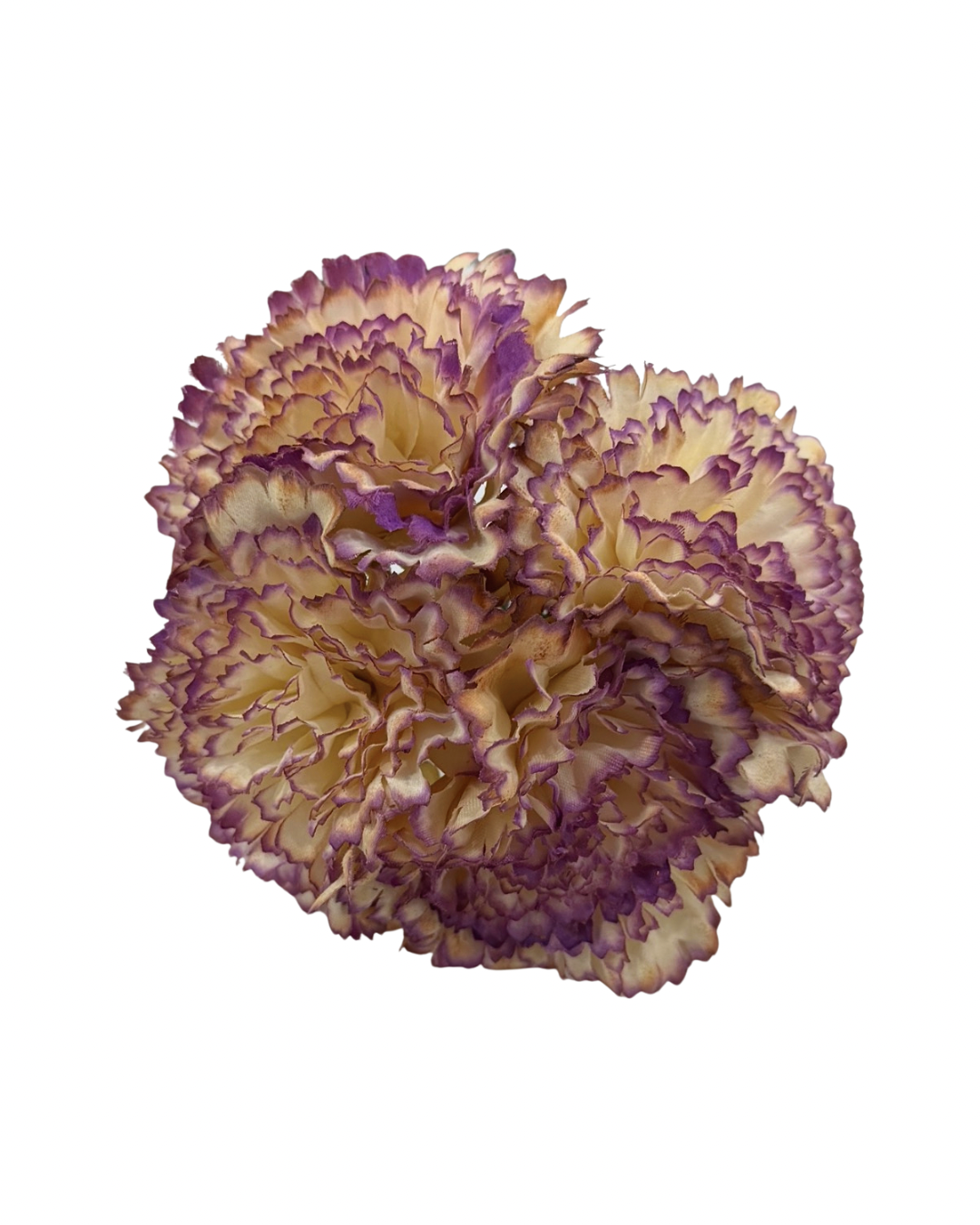 Ramillete de Flamenca Bicolor de Claveles Beige y Buganvilla