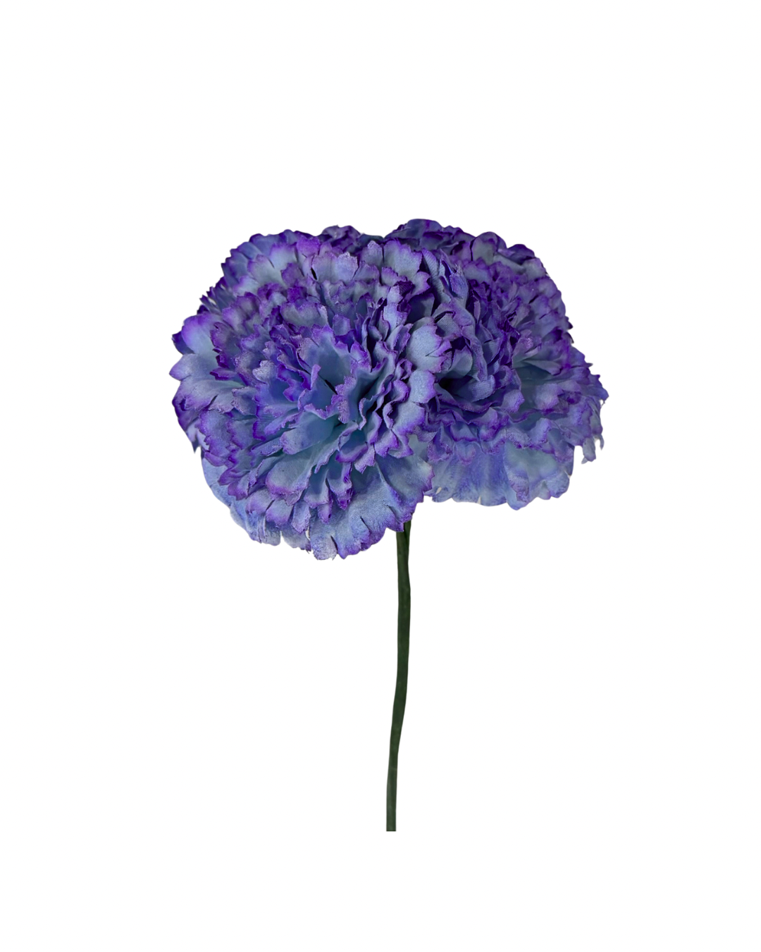 Ramillete de claveles celeste y morado 