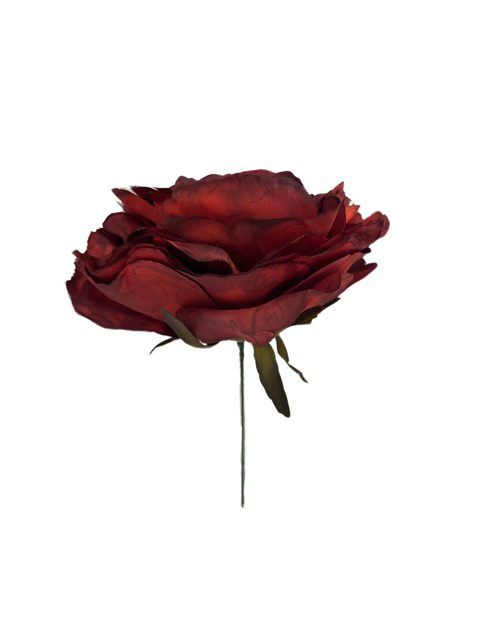 Rosa de Flamenca Granate