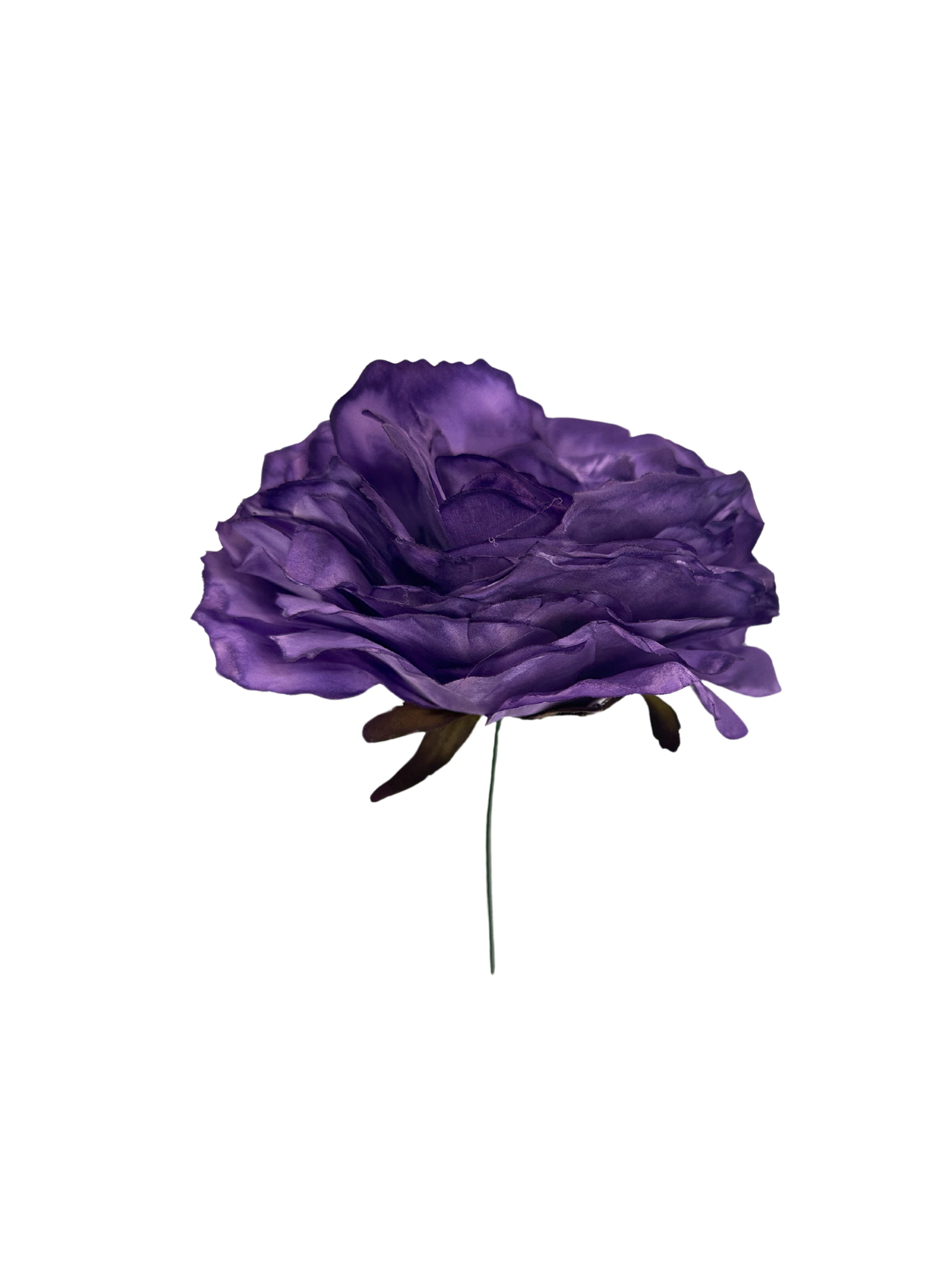 Rosa de Flamenca  Morada