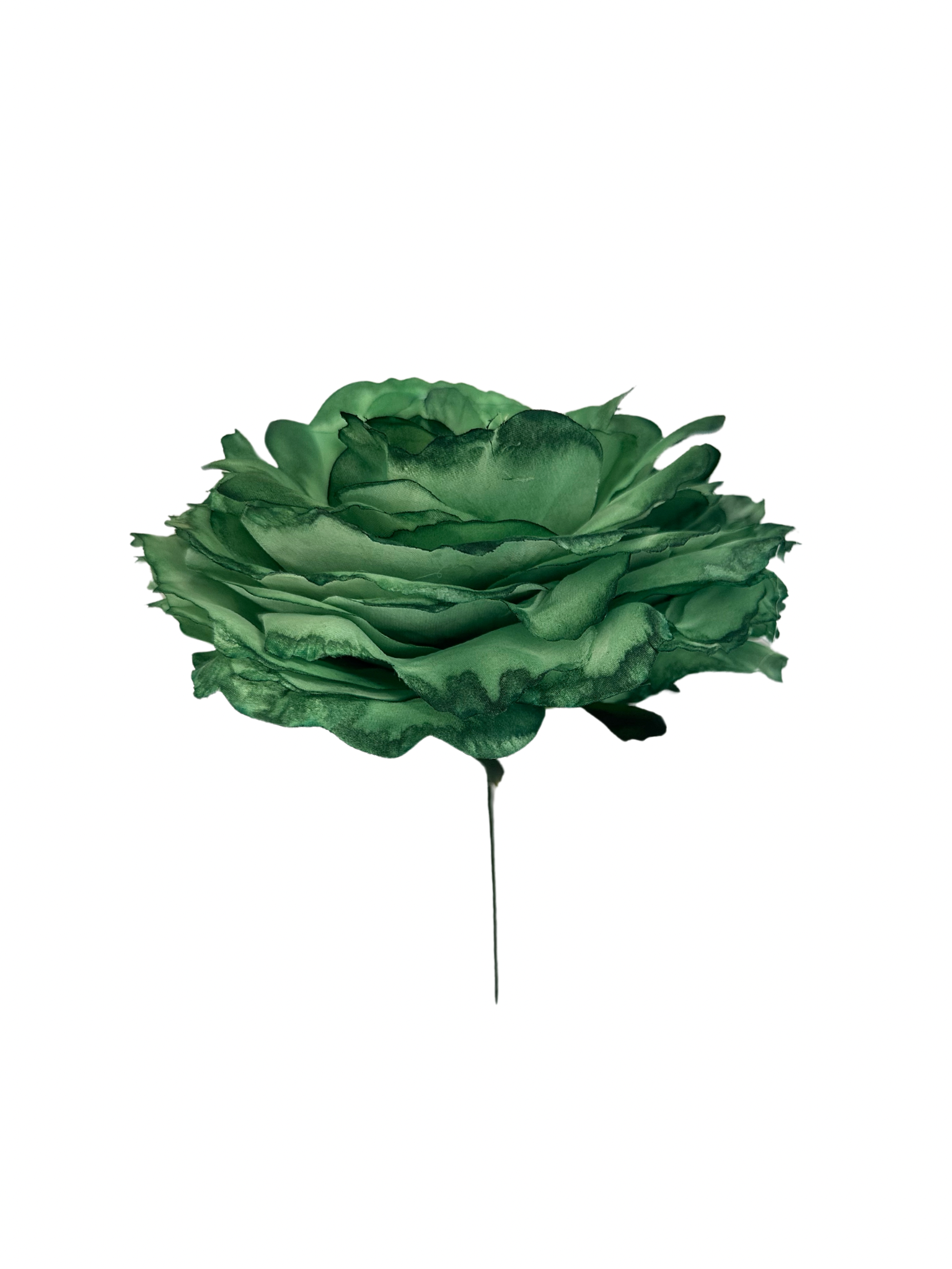 Rosa de Flamenca Jabonoso Claro