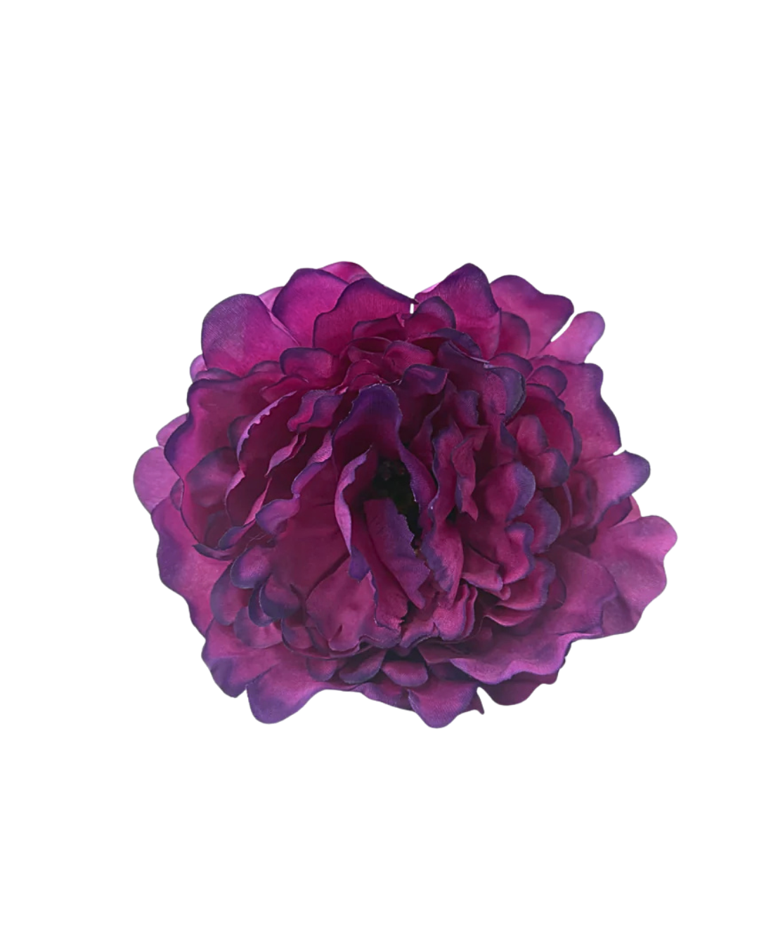 peonia de flamenca buganvilla oscuro
