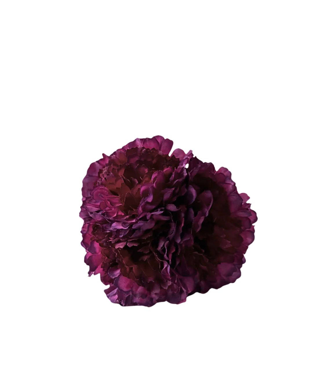 ramillete de flamenca niña buganvilla oscuro